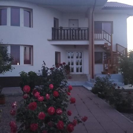 Casa Doina Hotel Douazeci si Trei August Ngoại thất bức ảnh
