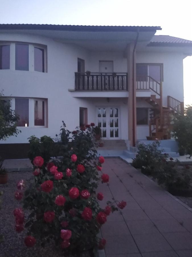 Casa Doina Hotel Douazeci si Trei August Ngoại thất bức ảnh