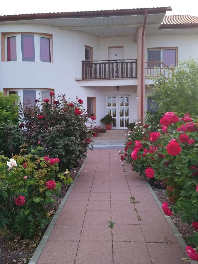 Casa Doina Hotel Douazeci si Trei August Ngoại thất bức ảnh
