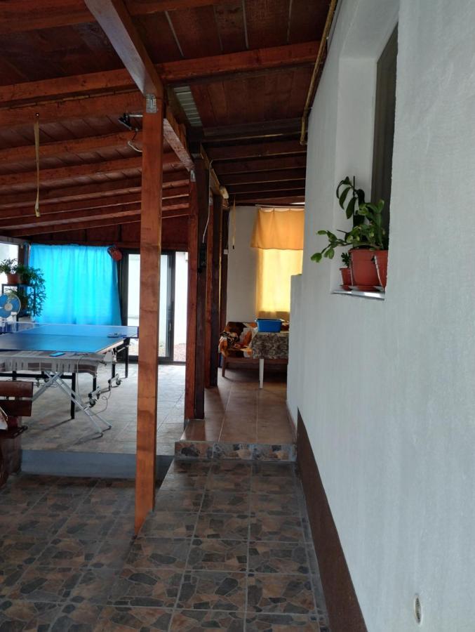 Casa Doina Hotel Douazeci si Trei August Ngoại thất bức ảnh