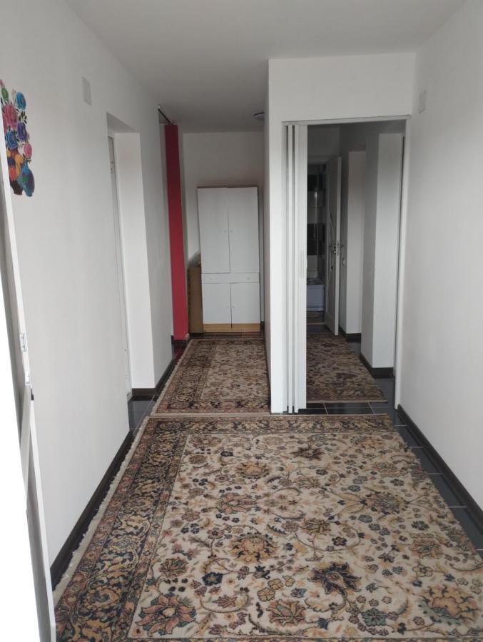 Casa Doina Hotel Douazeci si Trei August Ngoại thất bức ảnh