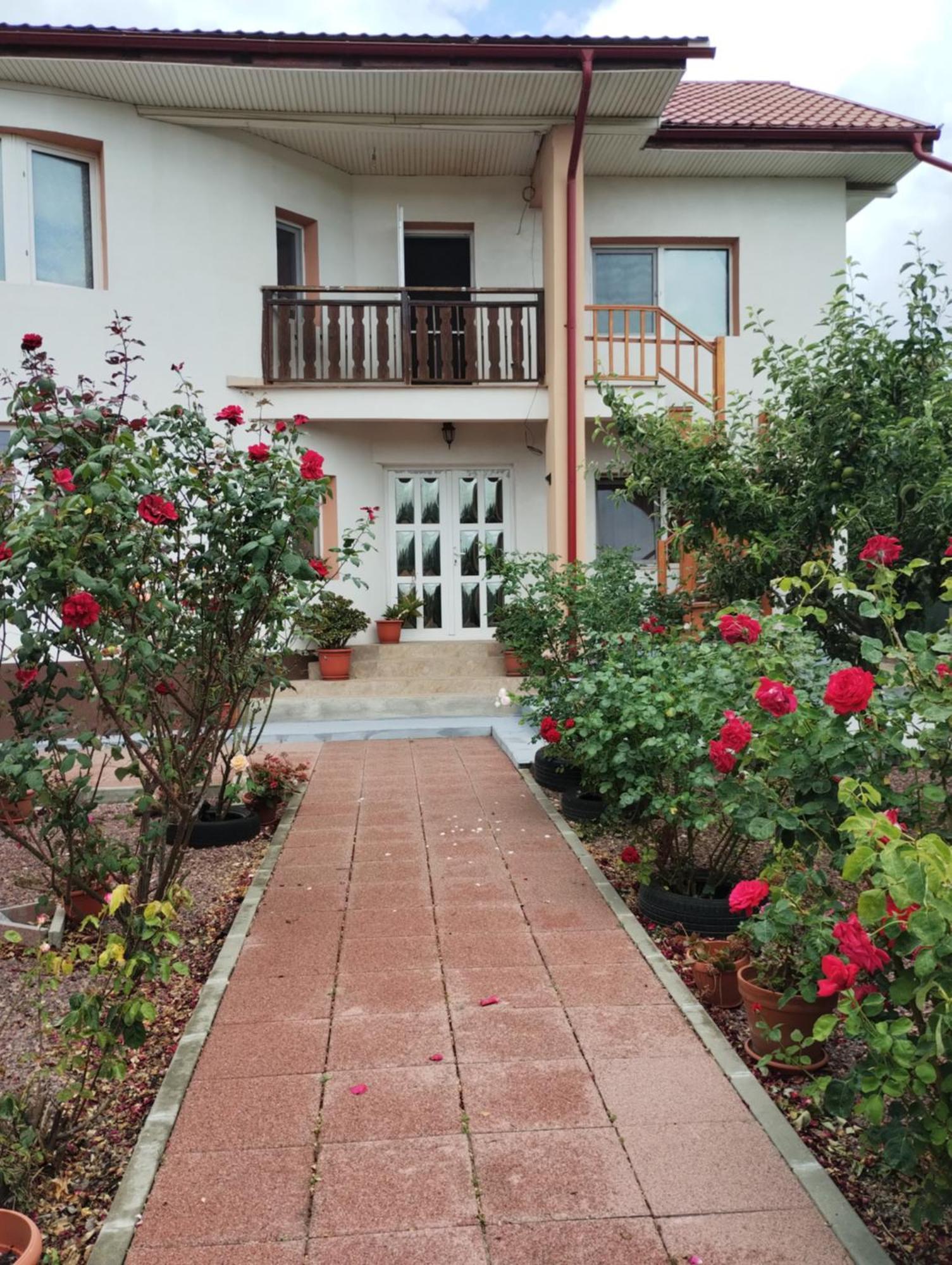 Casa Doina Hotel Douazeci si Trei August Ngoại thất bức ảnh